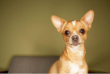 肉鸽动作游戏《深渊之影》抢先体验版发售 添加全新内容